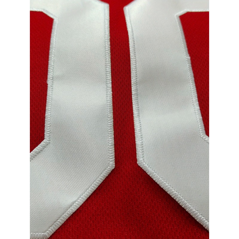 Camiseta de baloncesto con nom - Embroidery Name reseña y precio